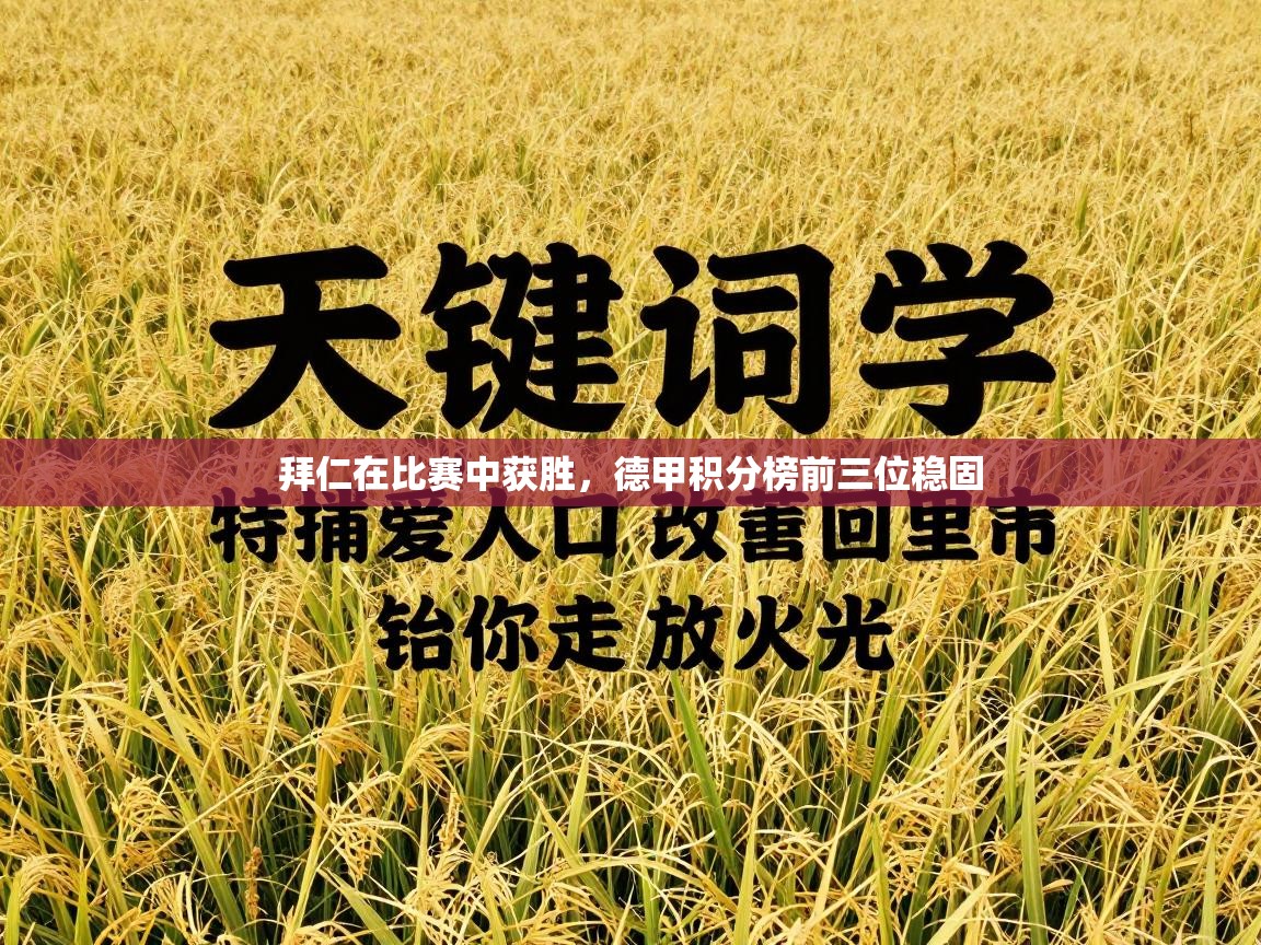 拜仁在比赛中获胜，德甲积分榜前三位稳固  第2张