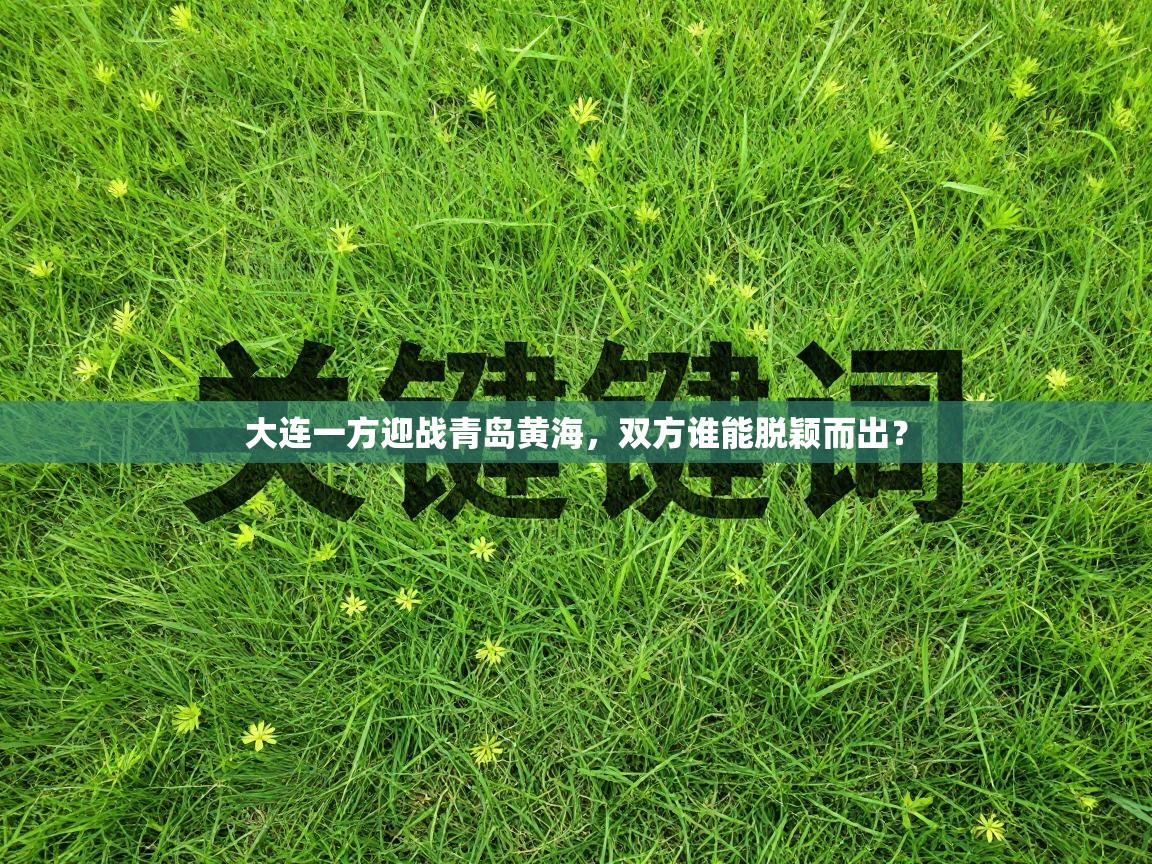 大连一方迎战青岛黄海，双方谁能脱颖而出？  第1张