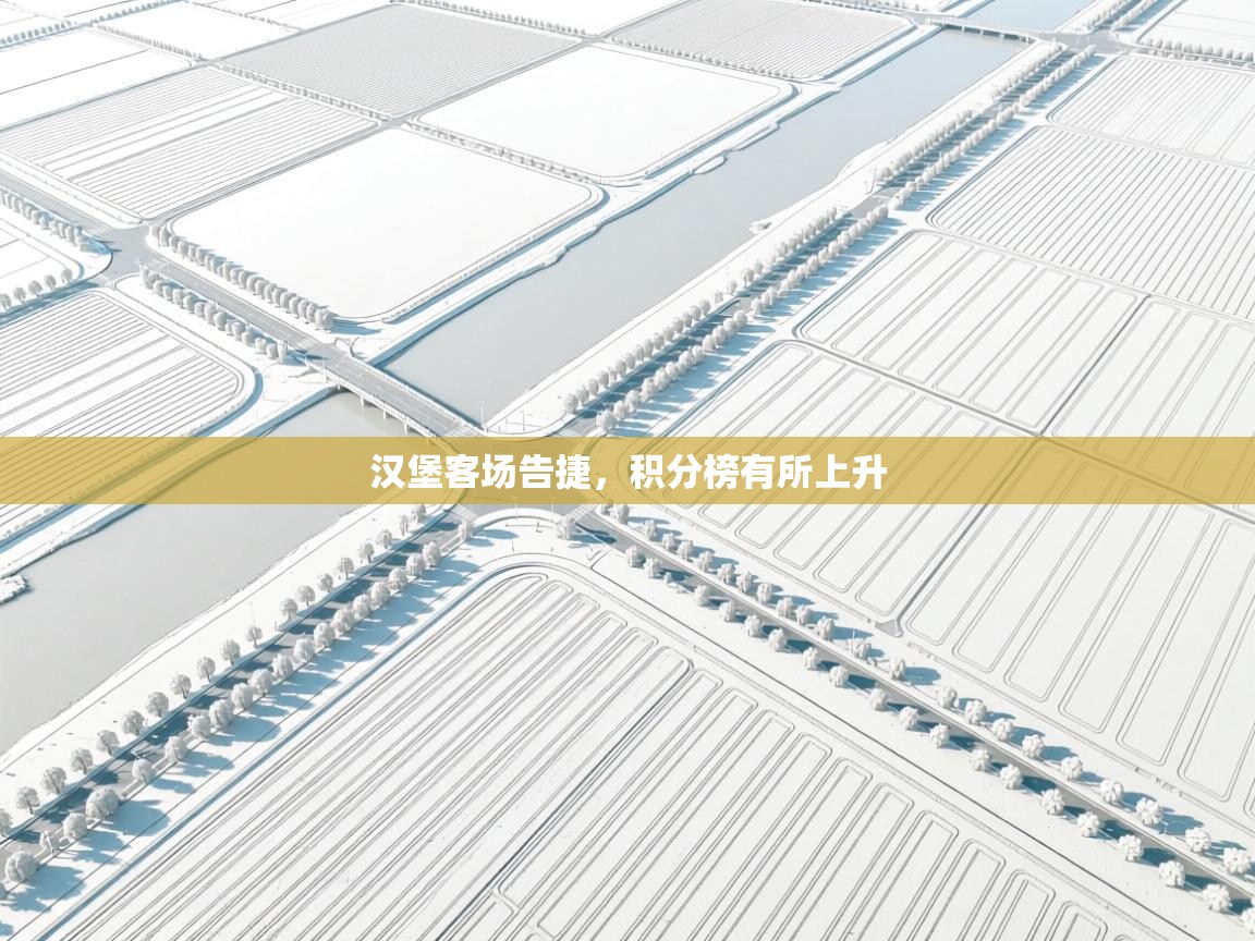 汉堡客场告捷，积分榜有所上升  第1张