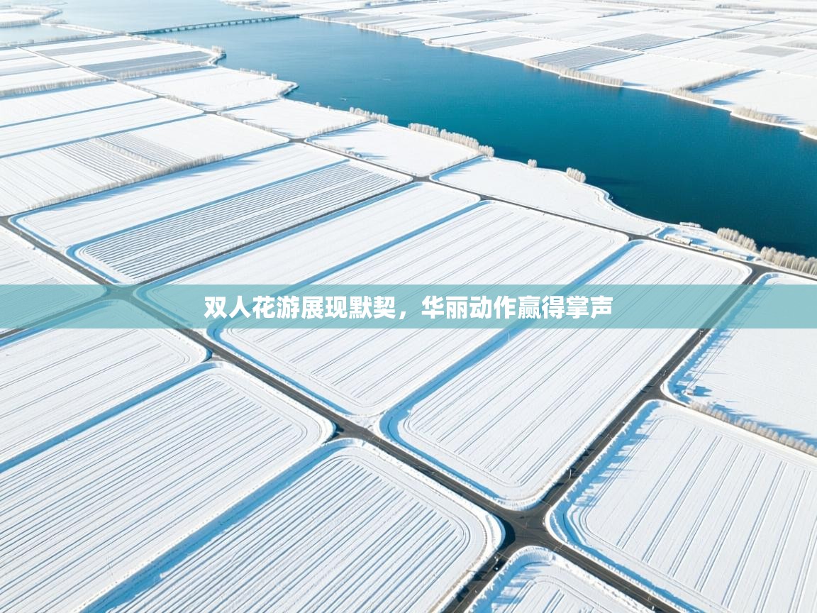 双人花游展现默契,华丽动作赢得掌声 第1张